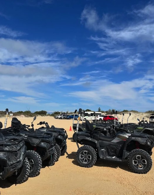 Four-wheel drives parked at the edge of the Pinnacles Desert