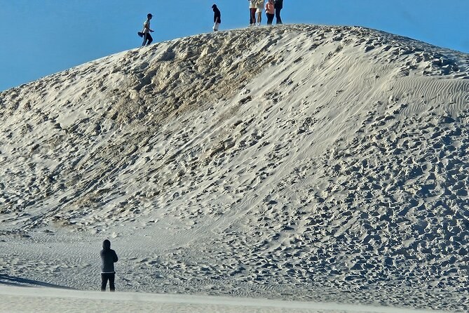 The white Lancelin sand dunes rising above the coastal scrub