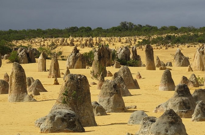 The Pinnacles Desert seen across the sand from a low dune
