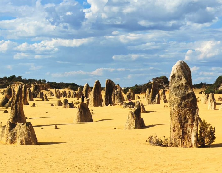 The Pinnacles Desert under scattered cloud, pillars to the horizon