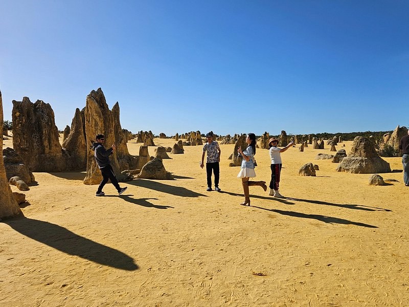 The walk trail through the Pinnacles Desert on a clear afternoon