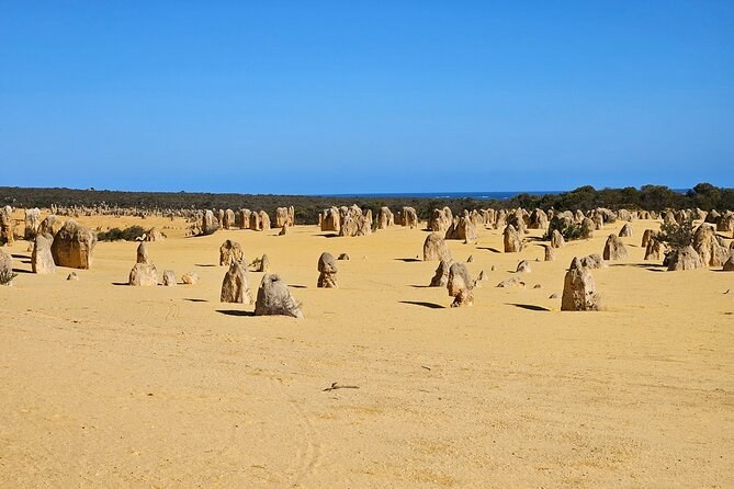 Hundreds of limestone pillars spread across the yellow sand plain