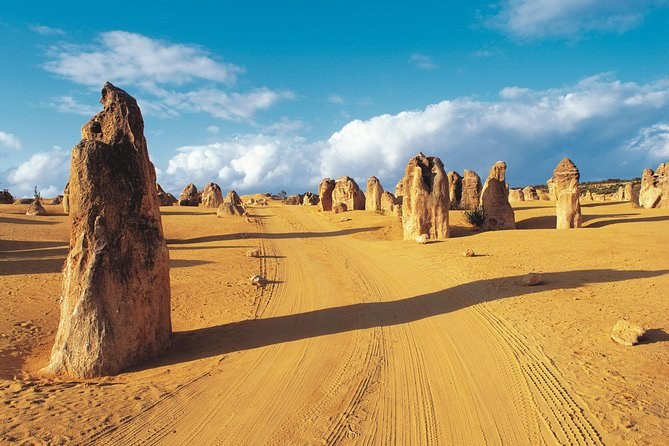 The sand track running between pillars in the Pinnacles Desert